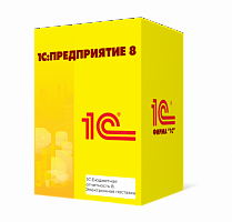 1С:Бюджетная отчетность 8. Электронная поставка